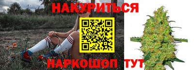 индика Малгобек