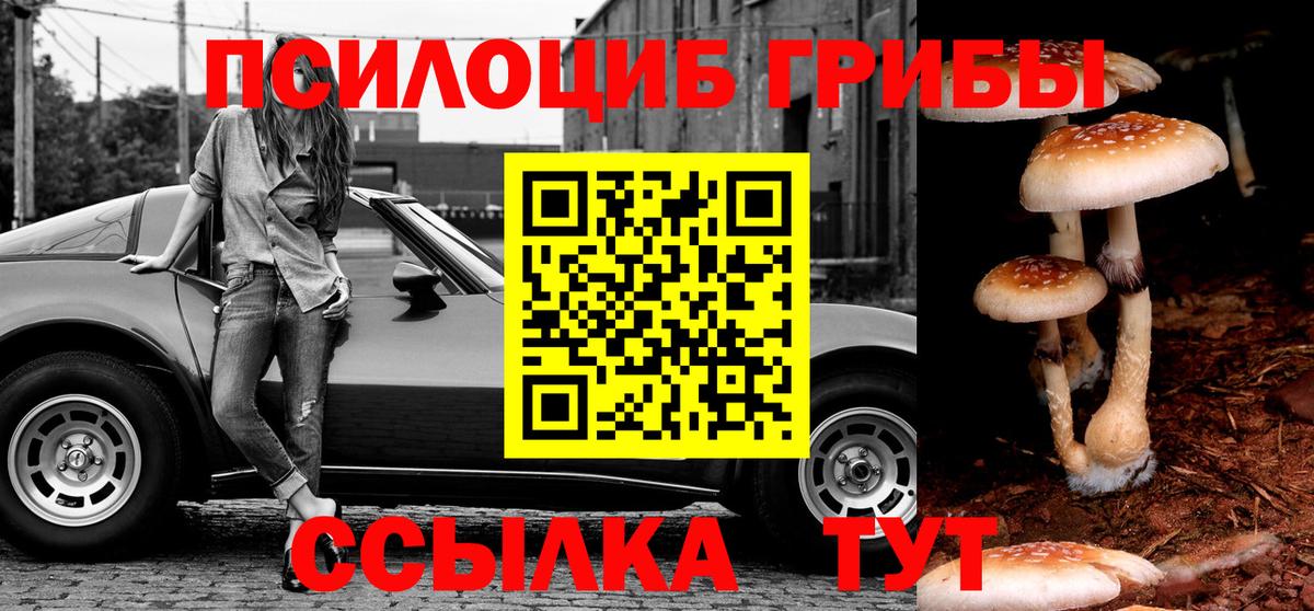 продажа наркотиков  Галлюциногенные грибы мухоморы  Псилоцибиновые грибы ЛСД  Вход с VPN  Фрязино 