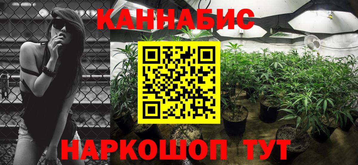 Конопля гибрид Фрязино